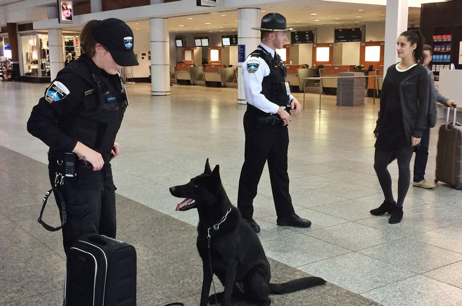 Airport Landside Security